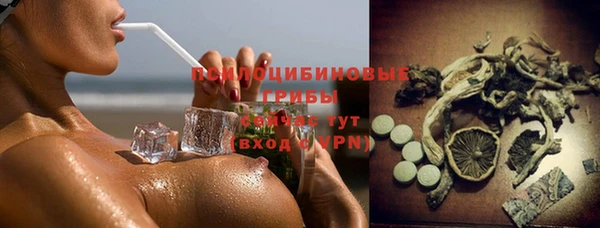 дурь Аркадак