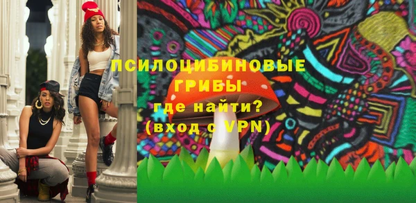 винт Армянск