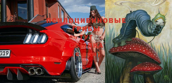 экстази Арсеньев