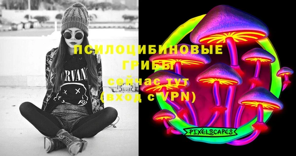 винт Армянск