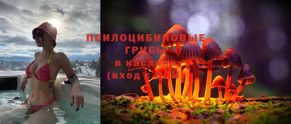 винт Армянск