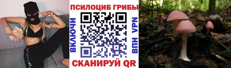 Псилоцибиновые грибы ЛСД  Белово 